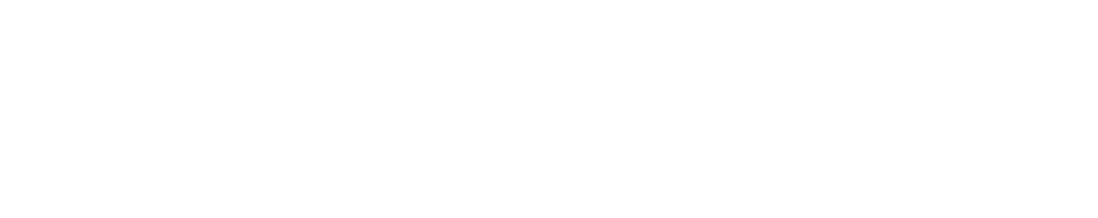 CI CONSULT